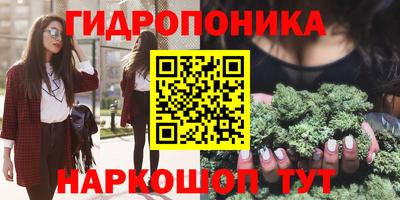 Альфа ПВП Владимир