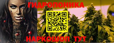 альфа пвп Владивосток