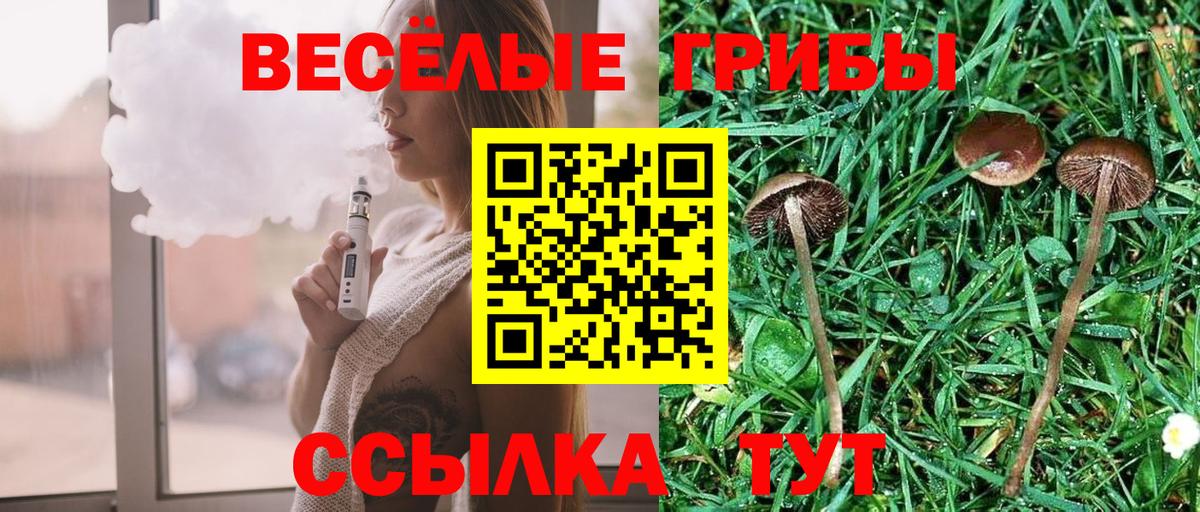 Лыткарино  закладки  Галлюциногенные грибы мухоморы  Вход с VPN  Галлюциногенные грибы Cubensis 