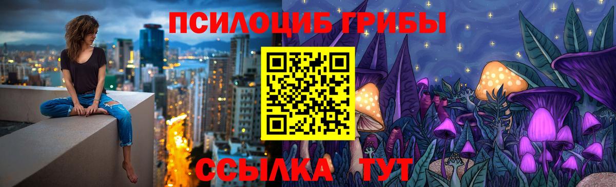 Псилоцибиновые грибы GOLDEN TEACHER Лыткарино